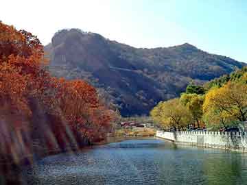 澳门天天免费精准大全，塑胶跑道造价